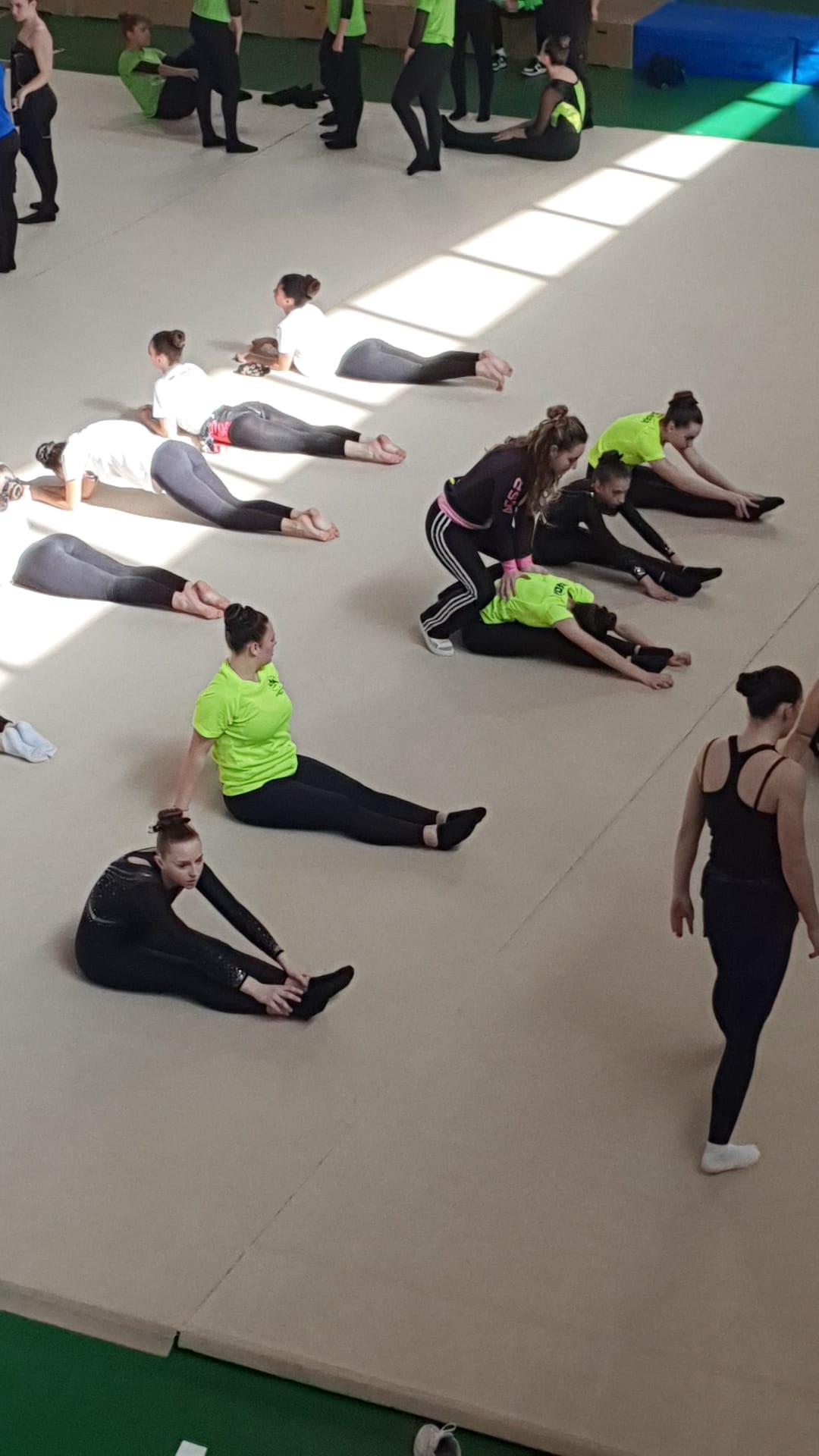 02 - 03 marzo 2024 Gold Teamgym Roma
